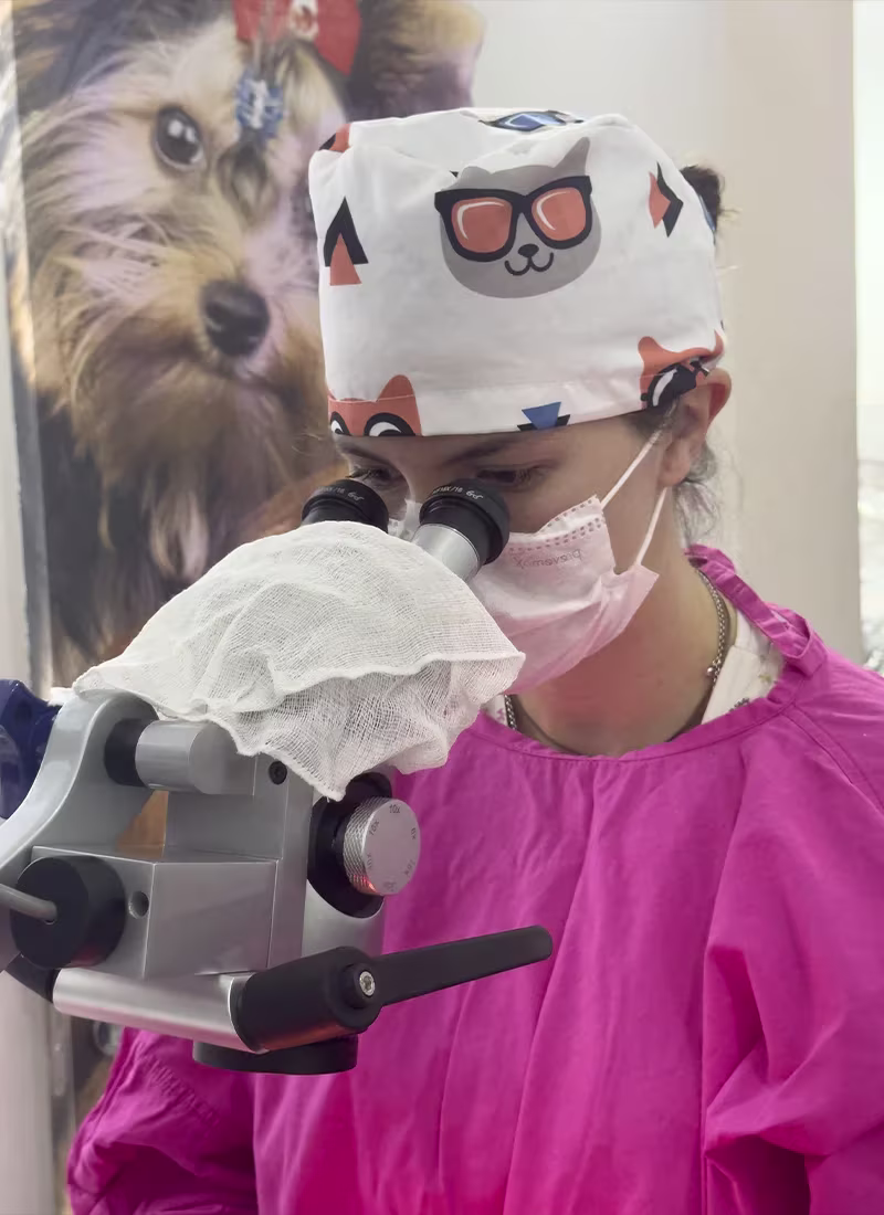 hia2mp9ehn8tuauoxfv3.avif